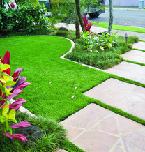 artificial turf around front lawn stepping stones