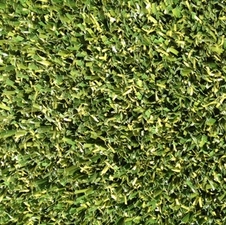 NP55 synthetic turf