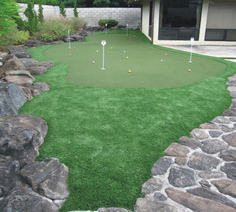 Aina Haina small yard putting green