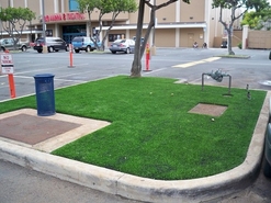 Synthetic Lawn in parking lot