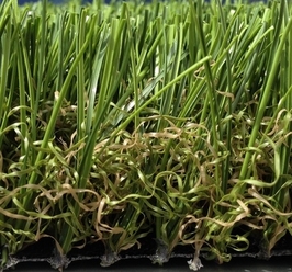 NyLawn Oahu Hawaii El Toro Premium Synthetic turf grass
