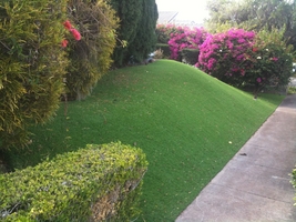 front yard hill with synthetic grass