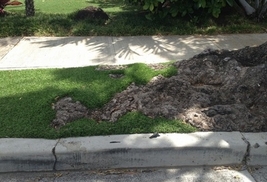 synthetic grass countoured around tree roots