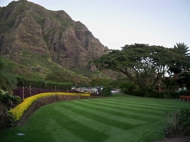 Kualoa Ranch Luau commercial synthetic lawn