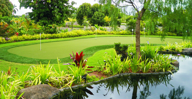 residential putting green with artificail turf and natural grass