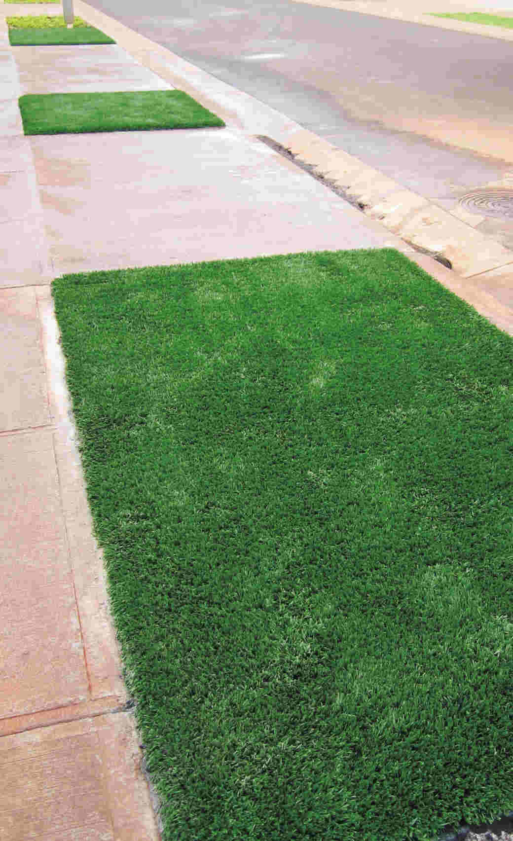 Mililani Synthetic Turf Lawn