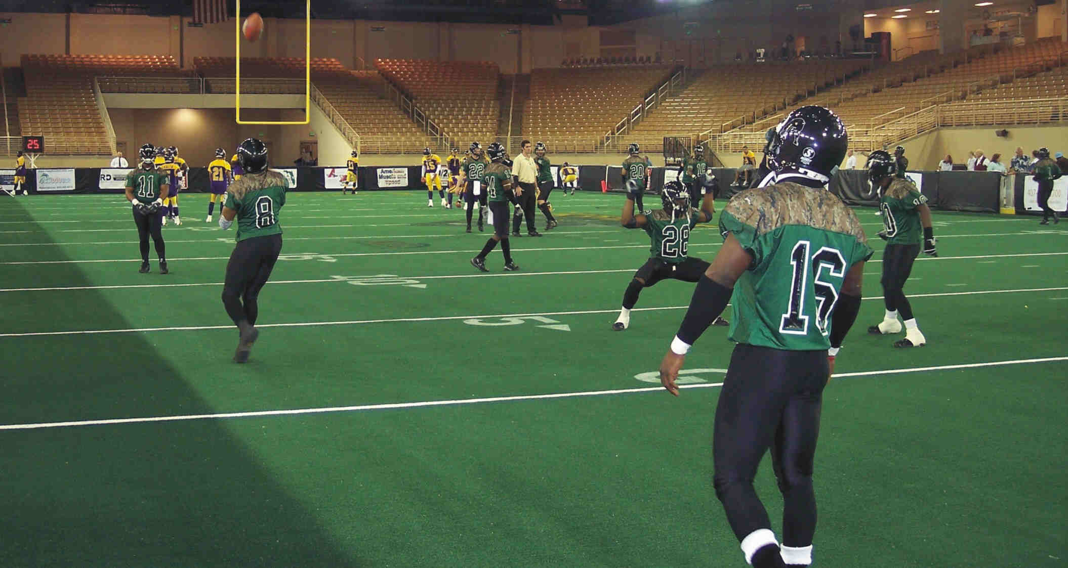 NIFL Removable Synthetic Turf